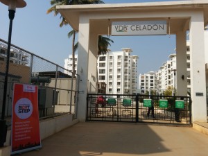 Right Step Cell at VDB Celadon