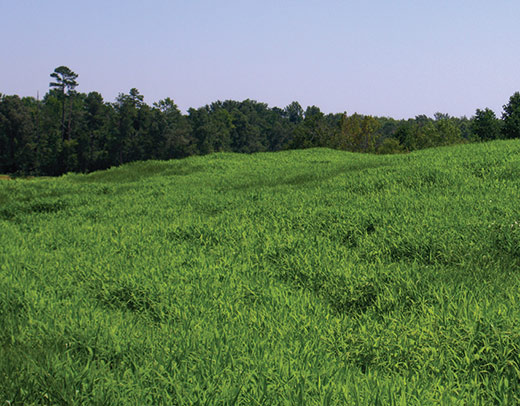 land conversion.jpg 1