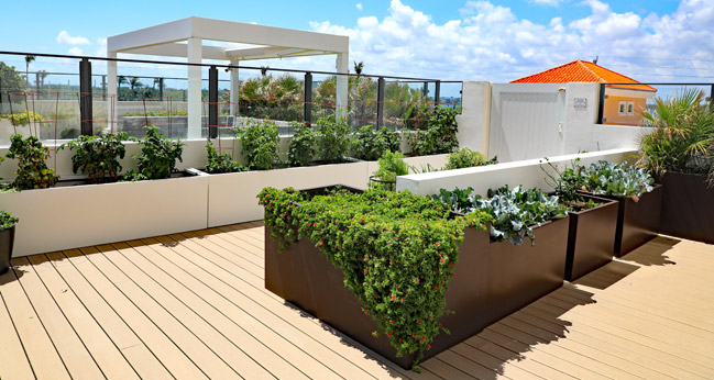Organic_Fruits&Vegetables_Garden